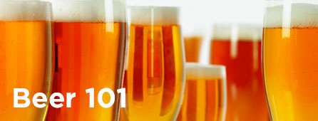 Beer 101: Learn all about beer